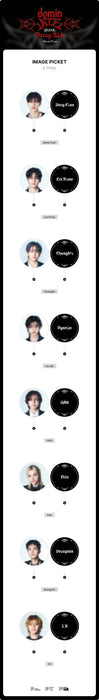 STRAY KIDS - WORLD TOUR <DOMINATE SEOUL> OFFICIAL MD - IMAGE PICKET